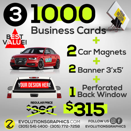 special 1000 business card, 2 car magnets, 2 banners 3'x5' perforated back window $199